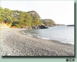 碁石浜の写真
